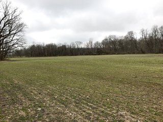 Property photo 31 - LAND AUCTION - 156.63+/- ACRES OFFERED IN 7 TRACTS IN ALLEN COUNTY, INDIANA